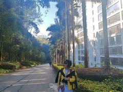 -孔雀湖生态旅游区