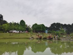 -铁山坪森林公园