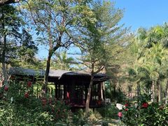 -深圳国际园林花卉博览园