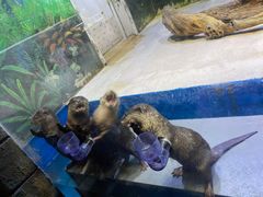 -华夏文旅海洋公园