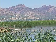 -哈素海