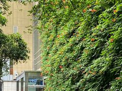 -浙江大学医学院附属第二医院(解放路院区)