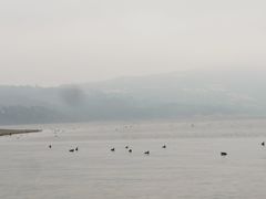 -阳宗海湿地