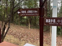 -广州白江湖森林公园