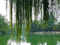 -北京动物园