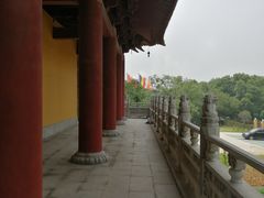 -太子山公园(园东路)