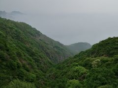-阳台山自然风景区
