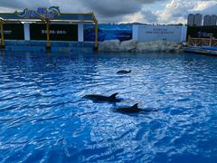 -三亚海昌梦幻海洋不夜城