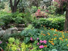 -龙城公园-停车场
