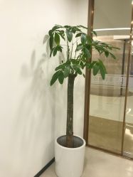 点击看大图 -丰联丽格医疗美容·联合丽格眼整形中心