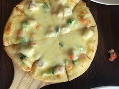 -百好乐宠物友好餐厅(朝外大街店)