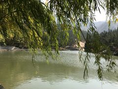 景点-九龙池景区