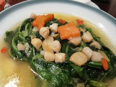 上汤干贝大叶茼蒿-鹿鸣春饭店(总店)