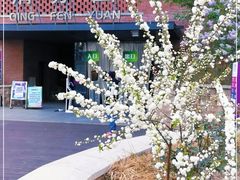 -清华大学-清芬园