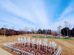 -北京西山国家森林公园