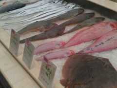 android_upload_pic-蓝海渔湾生态园(赣榆店)