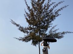 -白沙门生态公园