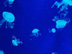 -沈阳海洋探索中心