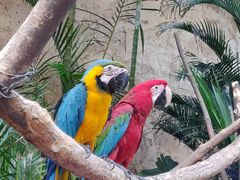 -杭州开元森泊度假乐园