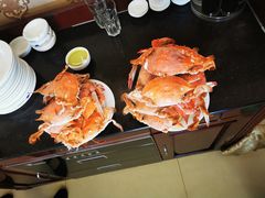 飞蟹-春华海鲜城(广场西苑店)