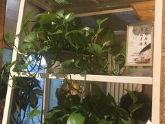 -19号私房菜(云南路店)