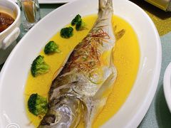 白鱼-扬浦大酒楼(平顶山路店)