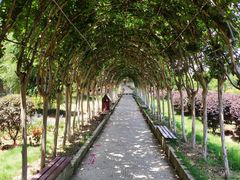 -武汉紫薇都市田园