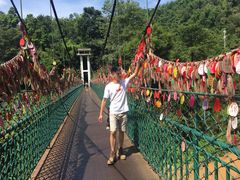 -西双版纳原始森林公园