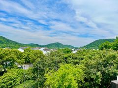 -树山生态村