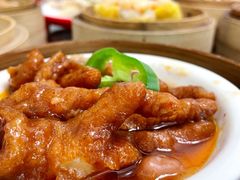 -山水茶艺馆·点心粤菜·30年老字号