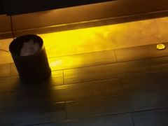 -索拉古贝(义乌北苑店)