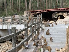 -姑婆山旅游区