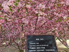 -海棠花溪(元大都城垣遗址公园)