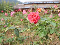 -韶关经律论国际酒店温泉