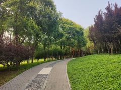 -大望京公园