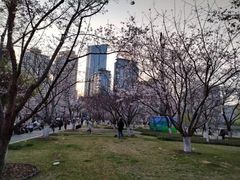 -西北湖绿化广场