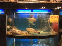 -莆鑫海鲜城(浏河店)