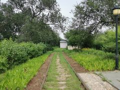 -永定河休闲森林公园