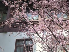 -堤角公园