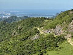 -大姆山草场