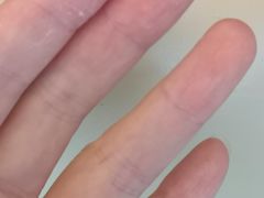 -上海静安香格里拉大酒店