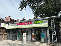 -Salud撒露欧洲冻酸奶(798艺术区店)