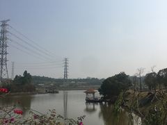 -中国移动南方基地