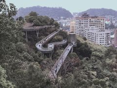 -福道