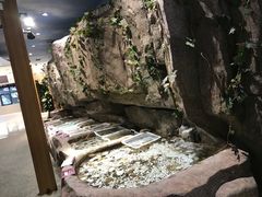 -郑庄脂渣海鲜楼(九水路店)
