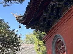 -洛阳白马寺