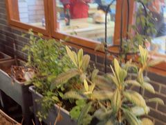 -节节香.成都非遗肥肠粉(总店)