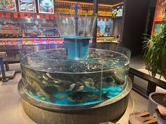 -魏铭鱼头捞饭(晋阳路店)