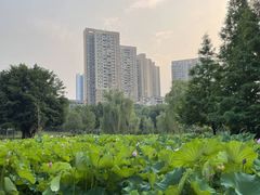 -沐仙湖湿地公园