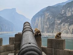 -白帝城·瞿塘峡景区